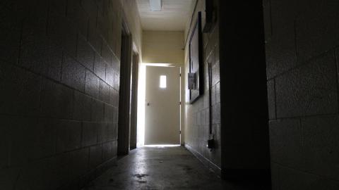 Lions Dont Splash Here... photo 4