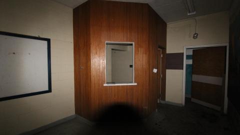 Lions Dont Splash Here... photo 5