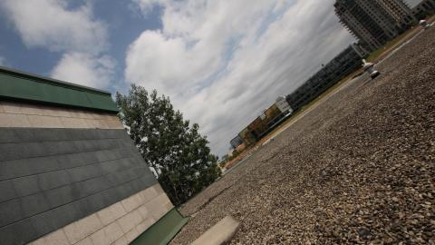 But They Used 2 Allow U 2 - IMG_0934.JPG