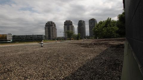 But They Used 2 Allow U 2 - IMG_0933.JPG