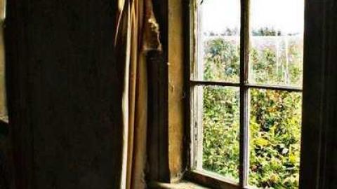 Photo from 11th concession 