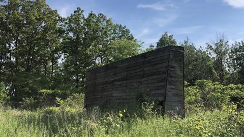 Photo from June 2021