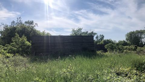 June 2021 - 92403A14-9028-40F5-AAEF-A948A0B53DAB.jpeg