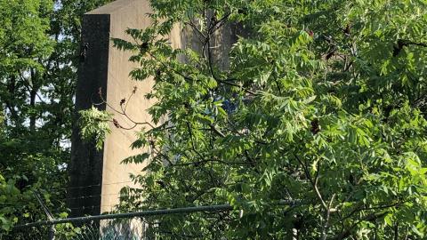 Photo from June 2021