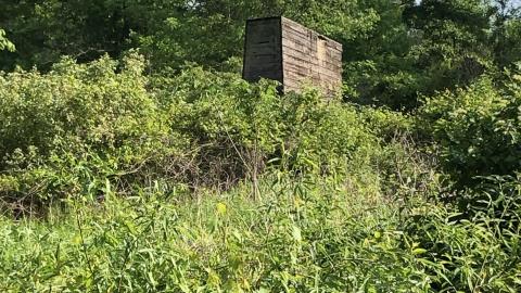 Photo from June 2021