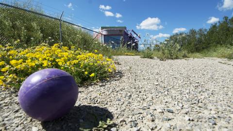 King Of The Castle - July 2016 - 48.jpg