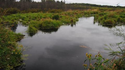 My 1st Burwash Experience - August 2013 - 1.jpg