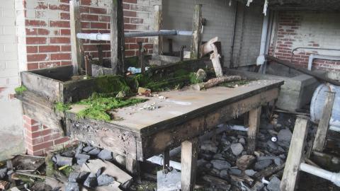 My 1st Burwash Experience - August 2013 - 37.JPG