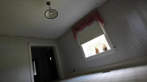 Foxy AF - IMG_0631.JPG