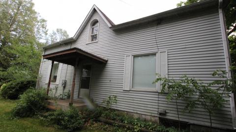 Foxy AF - IMG_0781.JPG