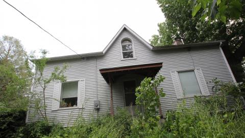 Foxy AF - IMG_0780.JPG