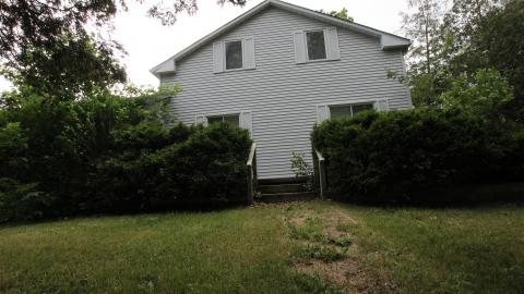 Foxy AF - IMG_0779.JPG