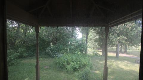 Foxy AF - IMG_0757.JPG