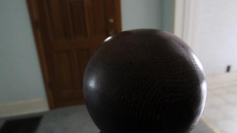 Foxy AF - IMG_0756.JPG