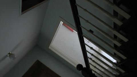 Foxy AF - IMG_0755.JPG