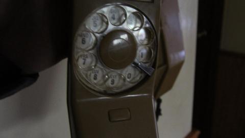 Foxy AF - IMG_0739.JPG