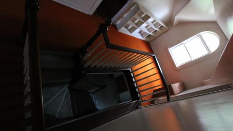 Foxy AF - IMG_0737.JPG