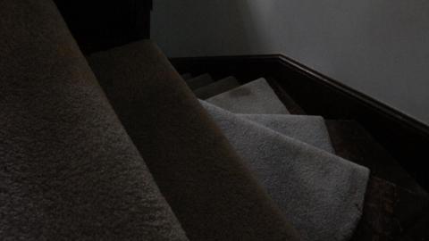 Foxy AF - IMG_0736.JPG