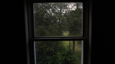 Foxy AF - IMG_0734.JPG