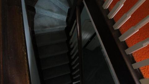 Foxy AF - IMG_0733.JPG