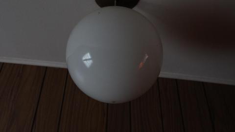 Foxy AF - IMG_0730.JPG