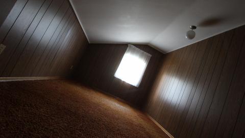 Foxy AF - IMG_0728.JPG