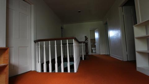 Foxy AF - IMG_0726.JPG