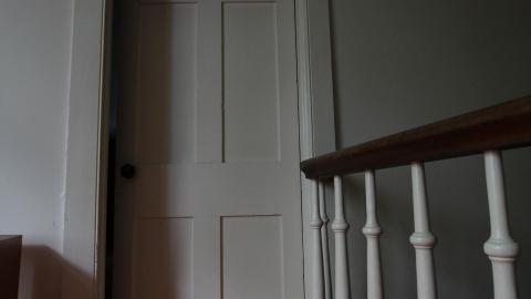 Foxy AF - IMG_0725.JPG