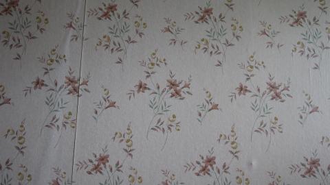 Foxy AF - IMG_0720.JPG