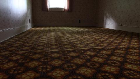 Foxy AF - IMG_0719.JPG