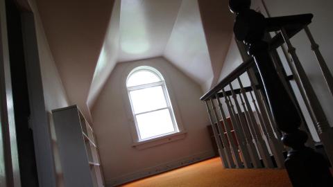 Foxy AF - IMG_0715.JPG