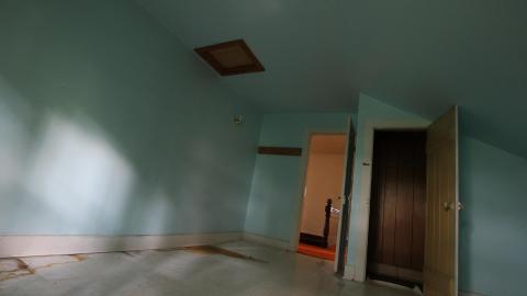 Foxy AF - IMG_0712.JPG