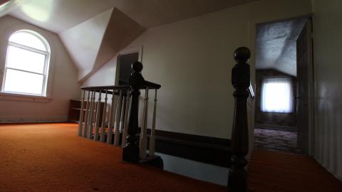 Foxy AF - IMG_0709.JPG