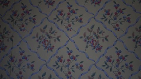 Foxy AF - IMG_0708.JPG