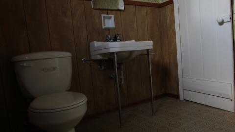 Foxy AF - IMG_0707.JPG