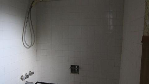 Foxy AF - IMG_0705.JPG