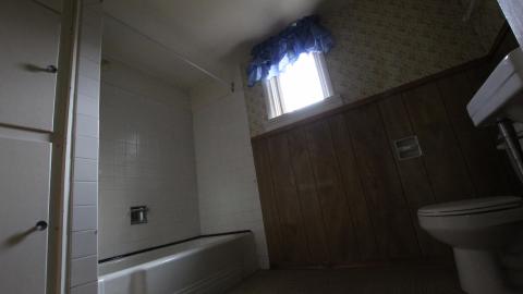 Foxy AF - IMG_0703.JPG