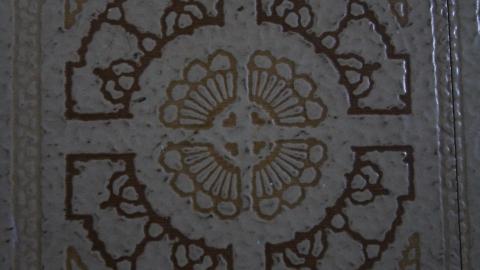 Foxy AF - IMG_0701.JPG