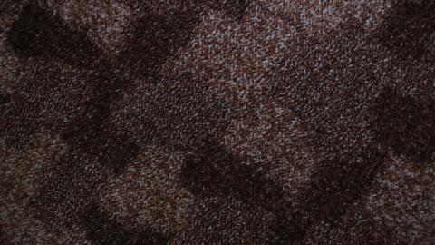 Foxy AF - IMG_0700.JPG