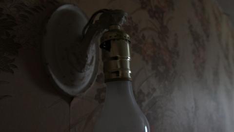 Foxy AF - IMG_0698.JPG