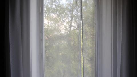 Foxy AF - IMG_0697.JPG