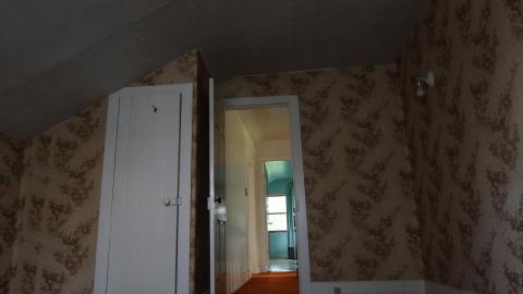 Foxy AF - IMG_0695.JPG