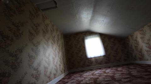 Foxy AF - IMG_0694.JPG