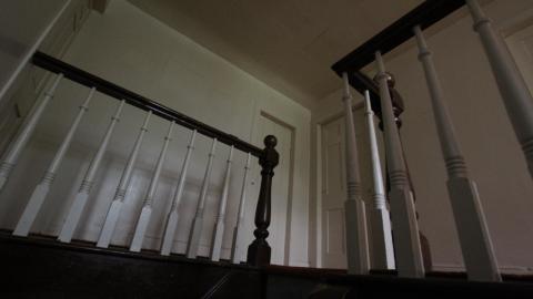 Foxy AF - IMG_0688.JPG