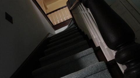 Foxy AF - IMG_0687.JPG