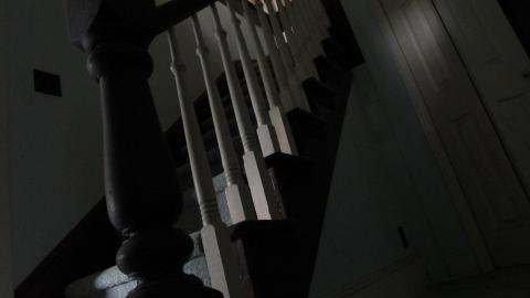 Foxy AF - IMG_0686.JPG