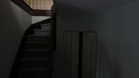 Foxy AF - IMG_0684.JPG