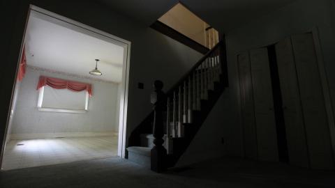 Foxy AF - IMG_0683.JPG