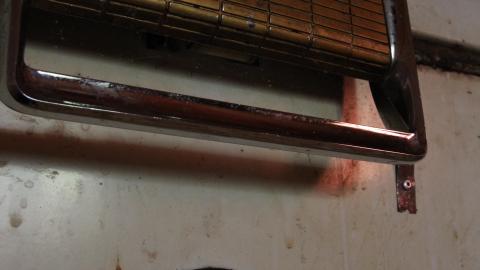 Foxy AF - IMG_0680.JPG