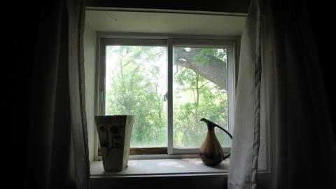 Foxy AF - IMG_0678.JPG